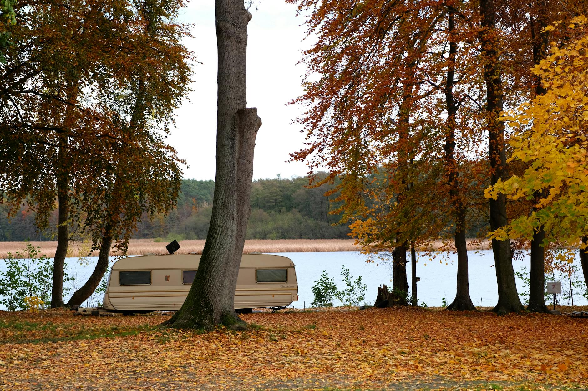 a camper trailer parked near a lake with trees